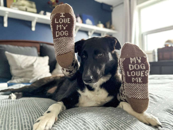 Puppy Love Socks by Lorraine Thompson for ANPTmag Issue 65; photo by Simon Pelletier for ANPTmag