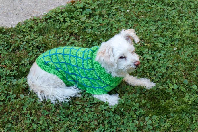 Snuggles Sweater by Cindy O’Malley for ANPTmag Issue 54; photo by Cindy O’Malley for ANPTmag