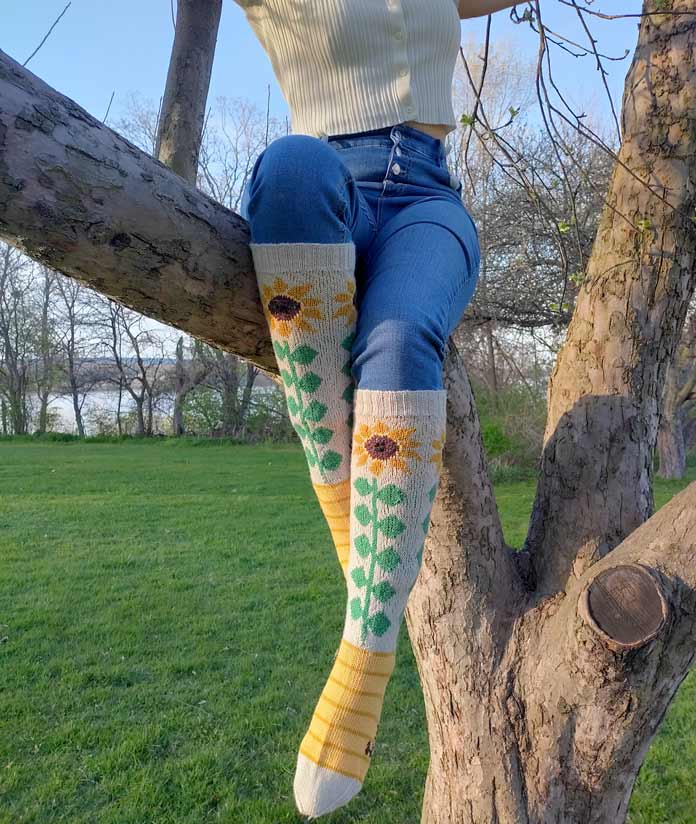 Sunflower Socks by Lorraine Thompson for ANPTmag Issue 59; photo by Simon Pelletier for ANPTmag