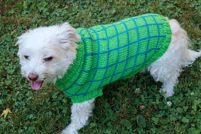 Snuggles Sweater by Cindy O’Malley for ANPTmag Issue 54; photo by Cindy O’Malley for ANPTmag