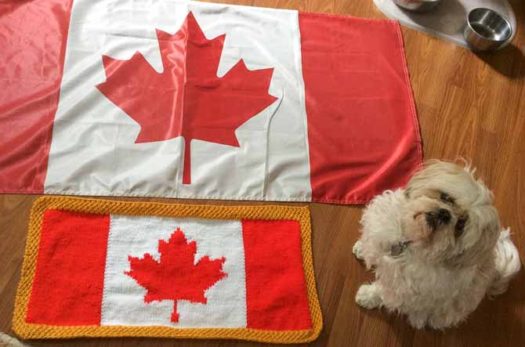The knitted flag with a purchased flag to show that the width to height ratios are similar. While it looks like Zoey is "standing on guard for thee", you will note that her food bowl is in the upper right corner; she is "standing" in wait of something else.